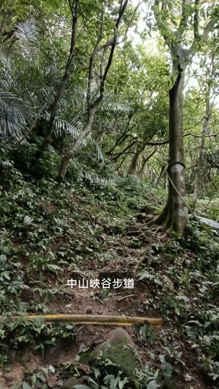 263db13a8a081c116d00351bf3d52bf1.png