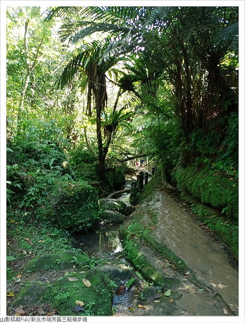 三貂嶺步道 (25).jpg - 三貂嶺步道