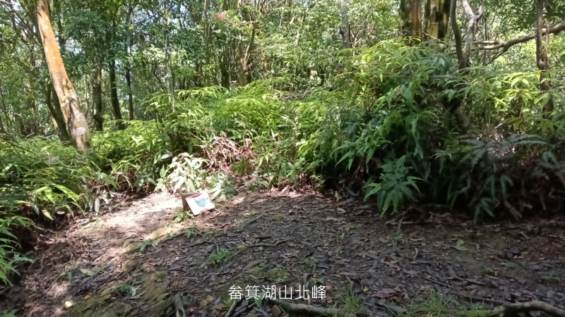 26d05a97604614f41cf0d9662daf1683.png