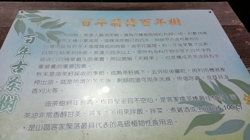 271de860e710c90ec3dbab05d99c55eb.jpg