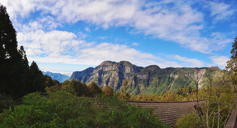 阿里山山脈最高峰_大塔山楓紅地毯_2020/12/12