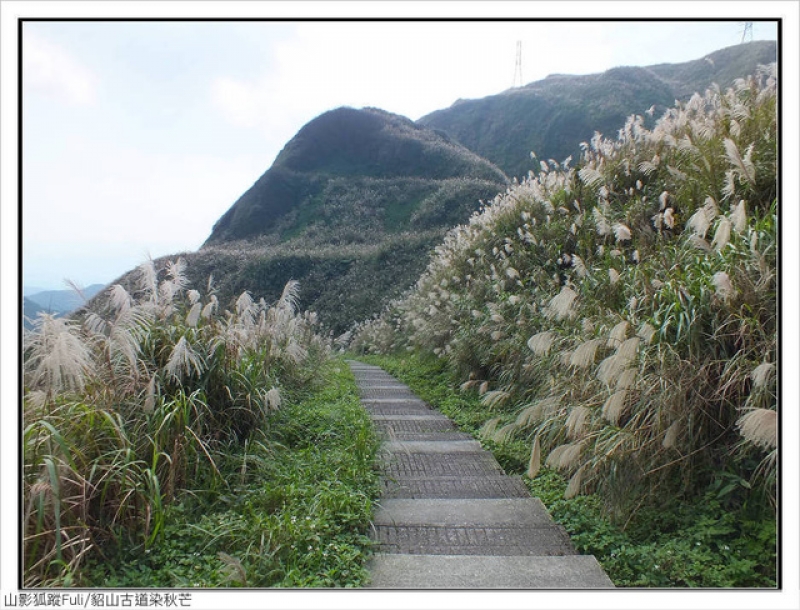 貂山古道 (43).jpg - 貂山古道