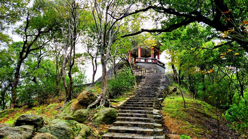 宛如電影神隱少女場景,賞楓勝地,汐止三秀山,拱北殿後山步道(O型)