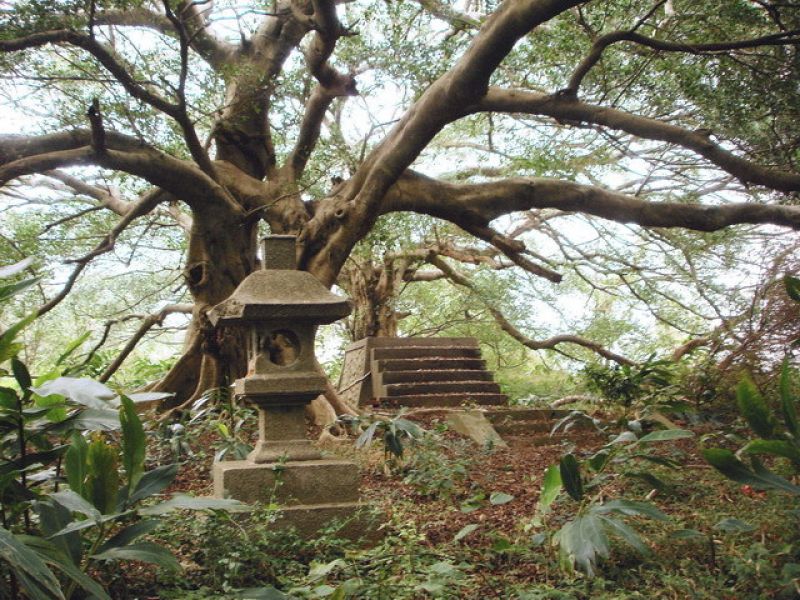 崎頂神社遺址步道
