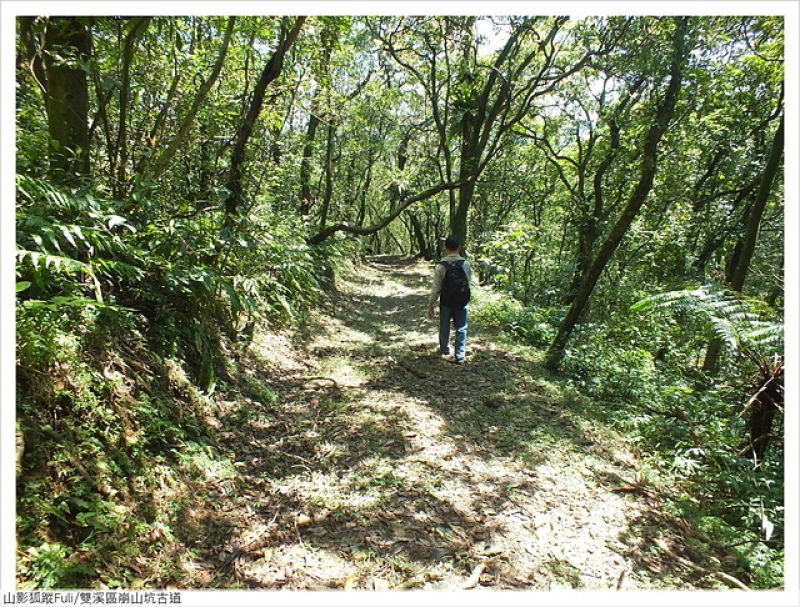 崩山坑古道 (72).JPG - 崩山坑古道