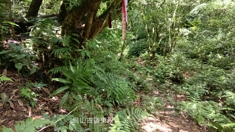 28803254ab397f508c33f58454765f23.png