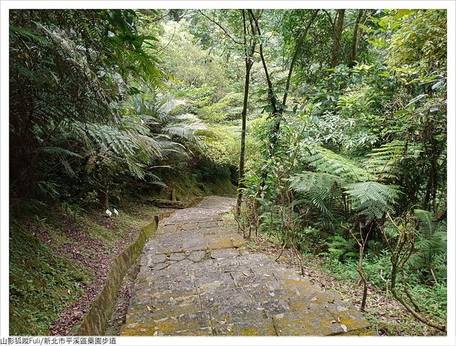 藥園步道 (45).jpg - 藥園步道