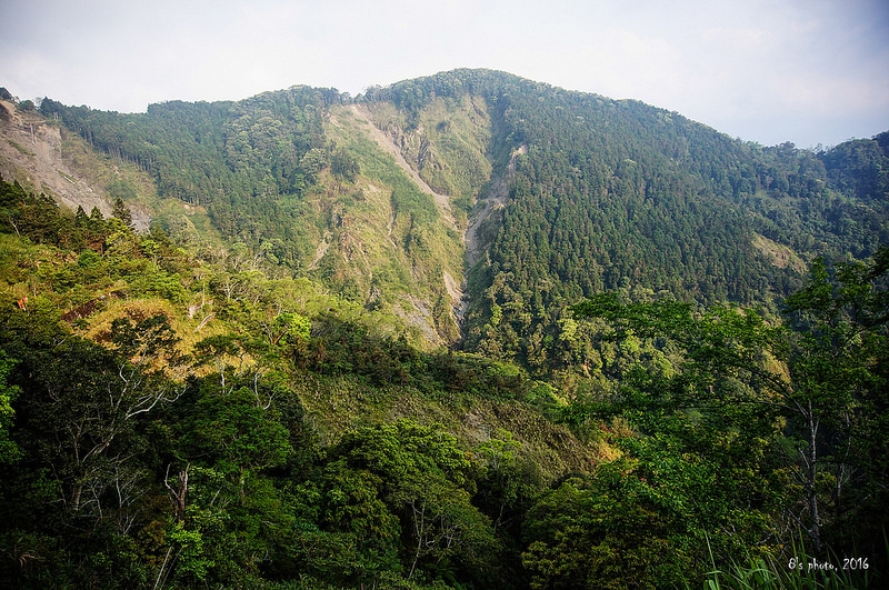 出雲山林道