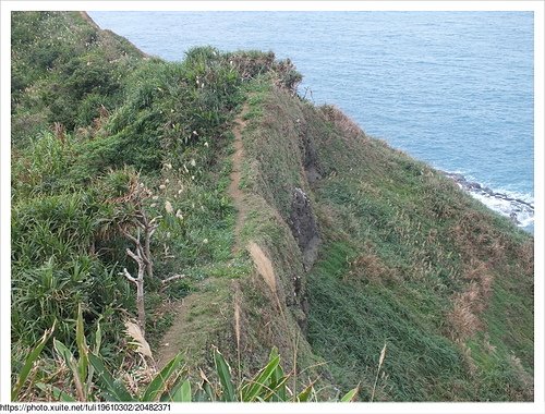 鼻頭角步道 (116).JPG - 鼻頭角稜線步道