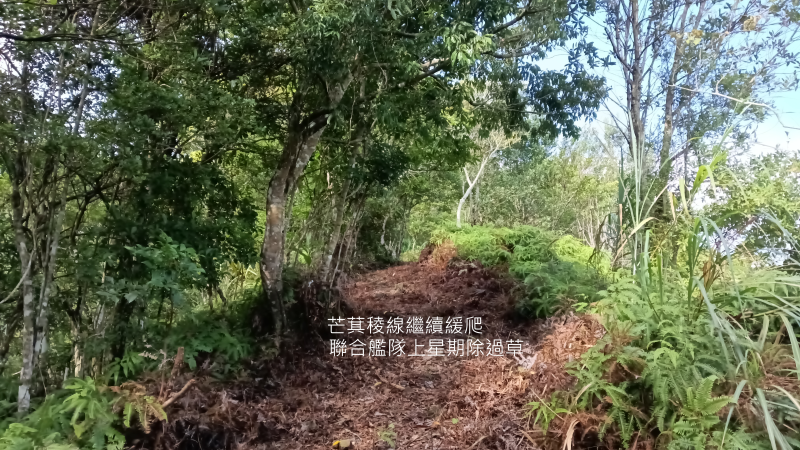 29480c9d5ed122dd677486a629be883c.png