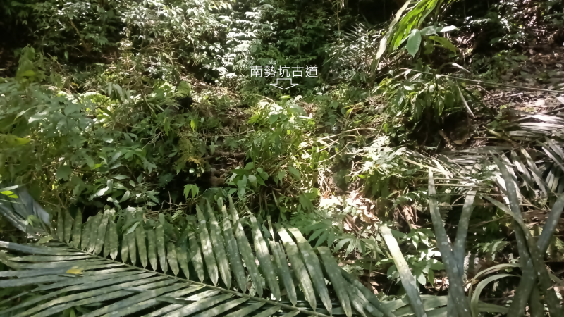 29793265beb7d27049bfe3341bb8cfd9.png
