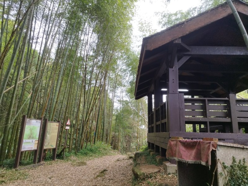 [嘉義梅山][四]摩天嶺、光崙山、公田