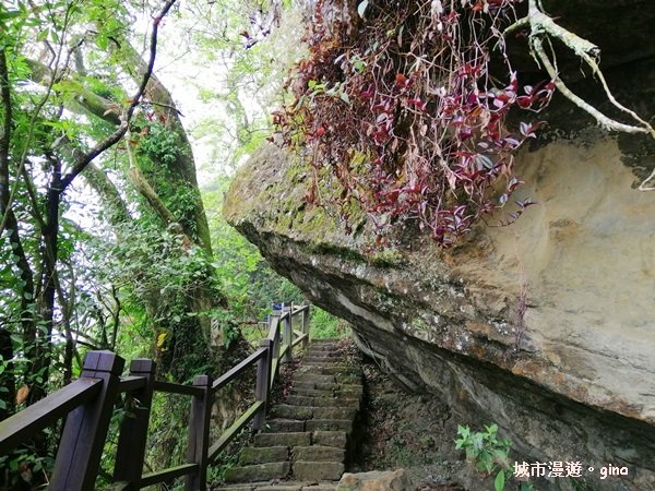 【台南。東山】山上尋悠。 編號64小百岳~崁頭山
