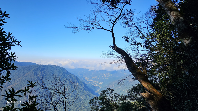 【鳥嘴山】【上島山】水雲三星老二，挑戰攀爬拉繩陡坡，登頂山景視野雲海超美！