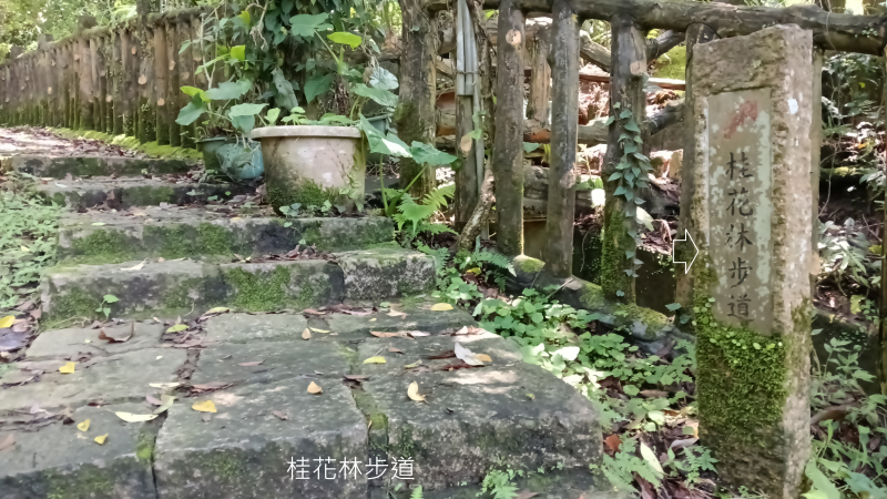 2af8cee5d1f8358aaf56080f8f2ad01e.png