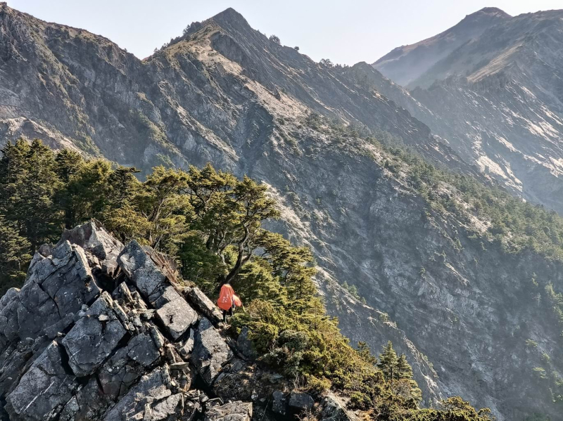 南二段之真/非傳統路線-關山嶺山.溪頭山.魔保來山出向陽
