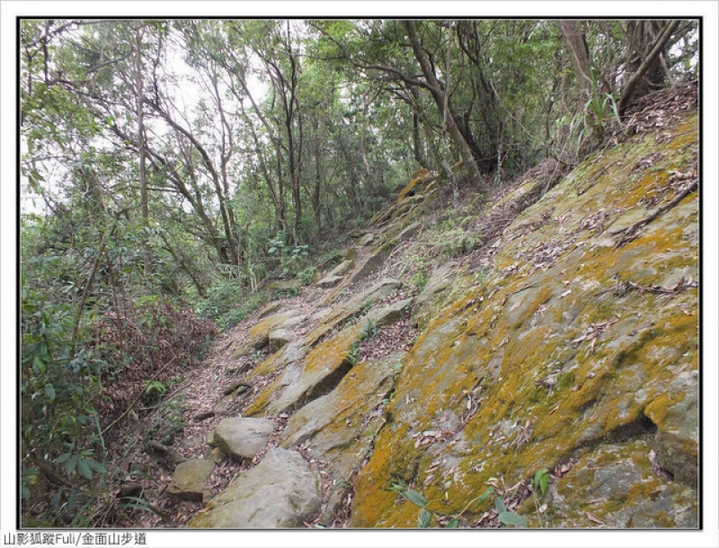 剪刀石山、金面山 (51).jpg - 剪刀石山、金面山