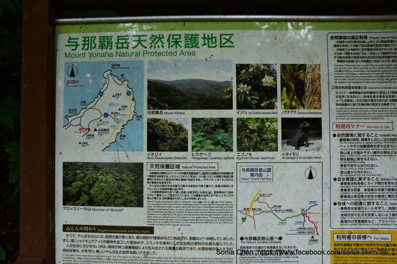 2bd19c6b172b6f9dc501fa8c59130d96.jpg