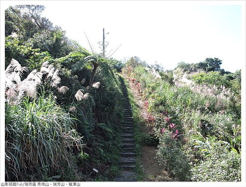 瑞芳三小山 (74).JPG - 瑞芳三小山(秀琦山、瑞芳山、龍潭山)