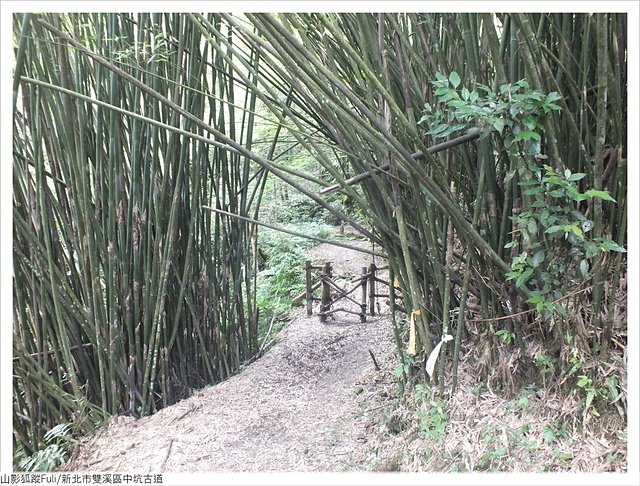 中坑古道 (79).JPG - 淡蘭中坑古道