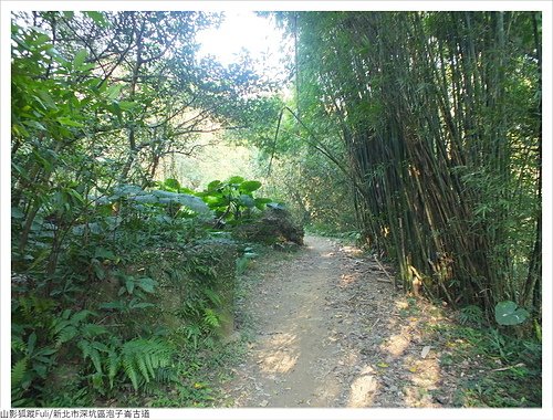 炮子崙古道 (55).JPG - 炮子崙古道