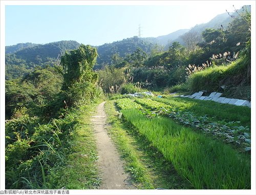 炮子崙古道 (34).JPG - 炮子崙古道