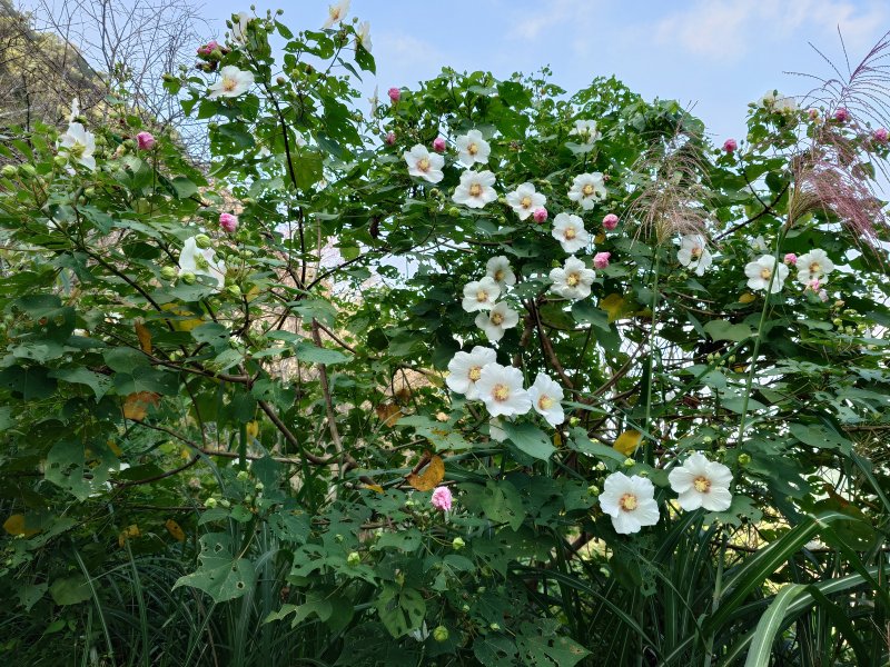 2ccbb0dbfbec2d316150e8b152124366.jpg