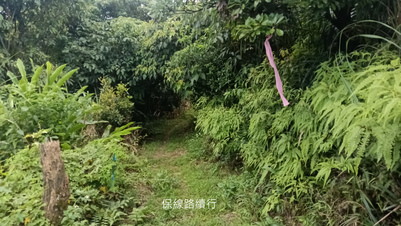 2d01c06699e384e9e979ee43be71fd20.png