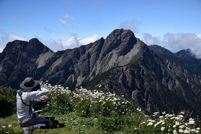 DSC_2570-1.jpg - 玉山群峰玫瑰花盅~