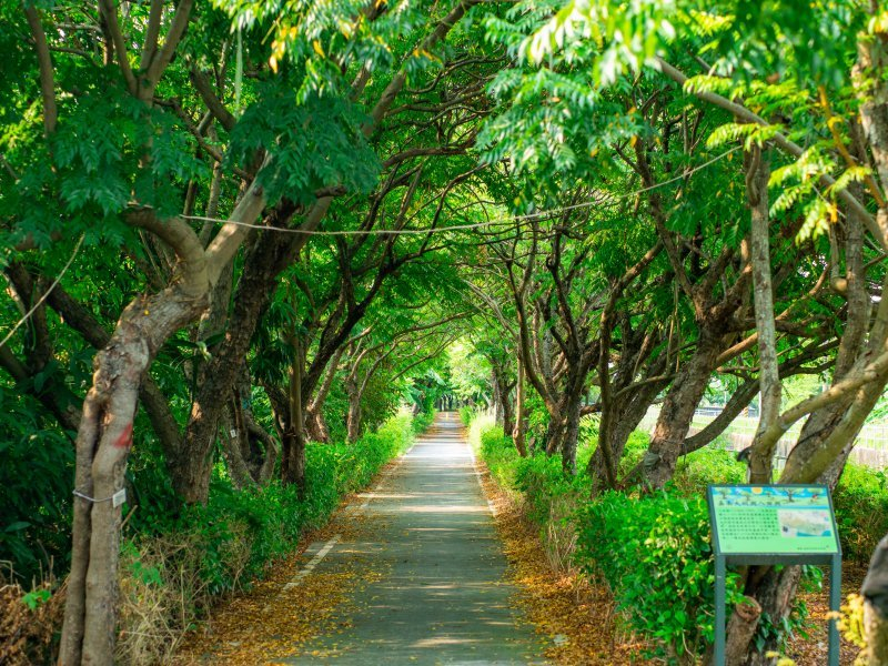 【內海之路：第二段】臺灣歷史博物館⮕茄拔天后宮