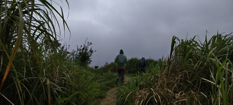 2daef8d4645b48ae0f07a2657851e486.jpg