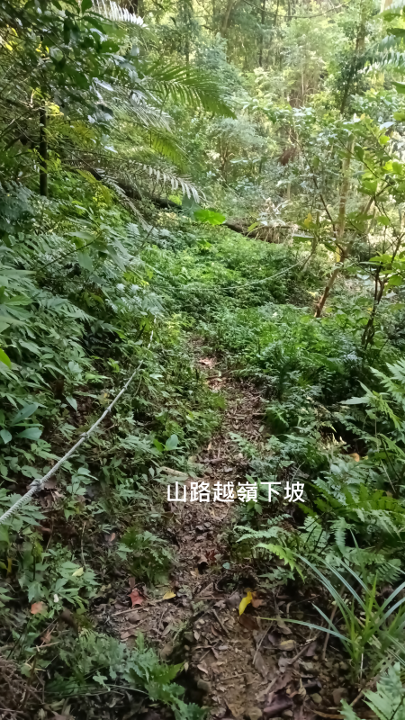 2e350fd812ee795248cb5d2d917f5c1e.png