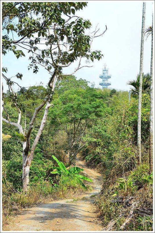 半天岩三寶山 (30).JPG