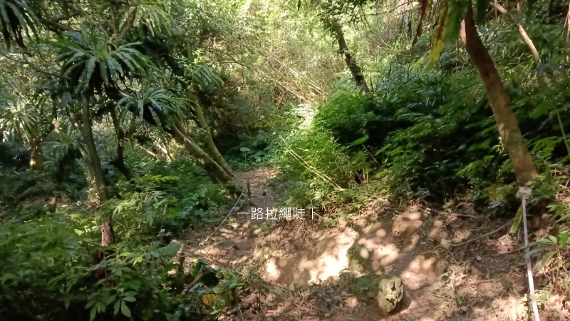 2e9cccdd8013f829aea0f47dbc527f5c.png