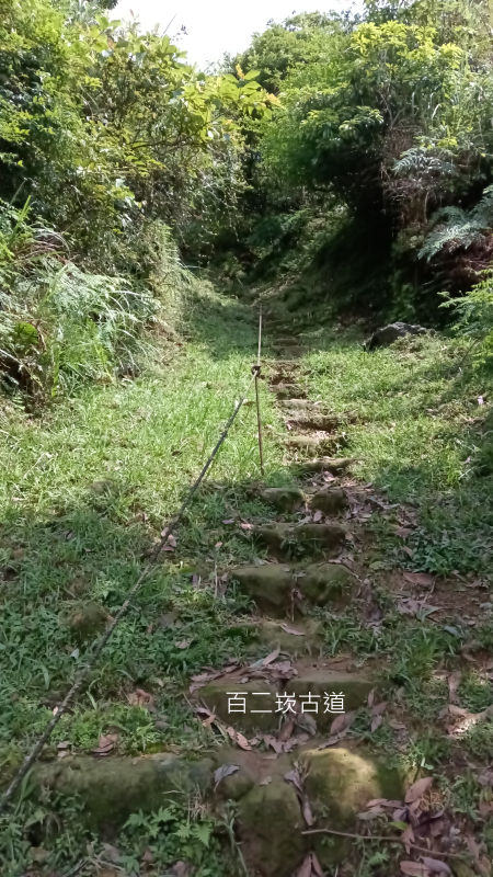 2ed7f912861fe707aec6647002c1fc7e.png