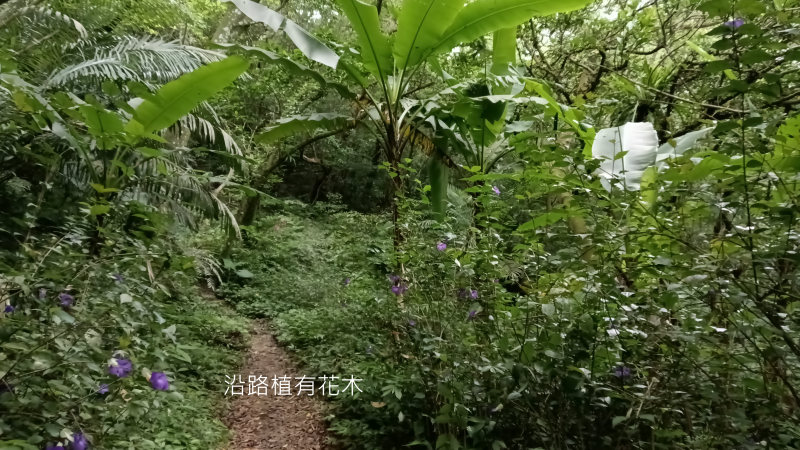 2f08d65761383f9315df0fae5c2df055.png