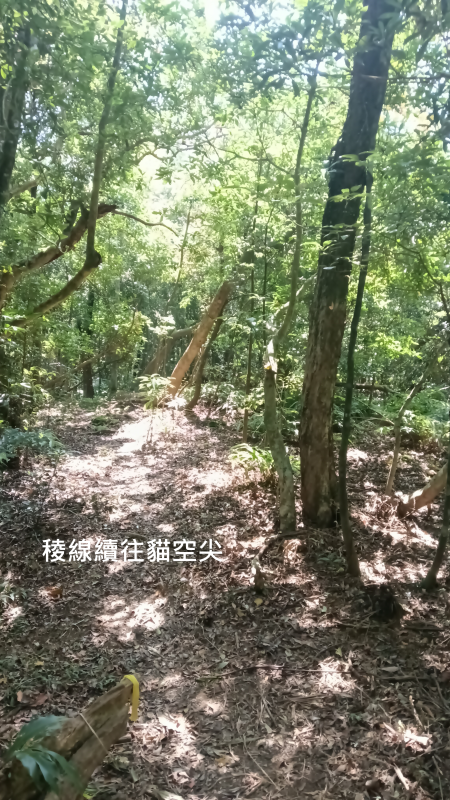 2fe833ae5c3b49c82699c657553ec4e8.png