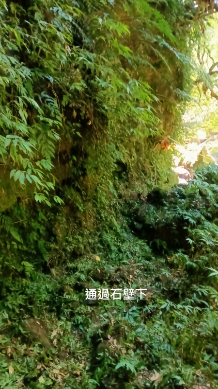 2ff75f79e90cddc54e879cbfaef9d516.png