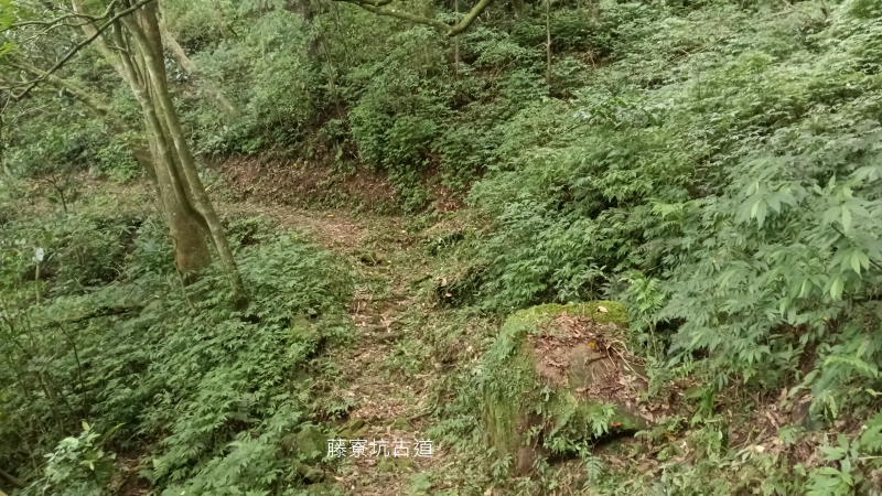 3003d64a29bdca9af4941131e8f099e4.png