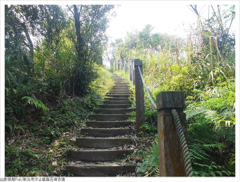 盤石嶺古道 (59).JPG - 盤石嶺古道