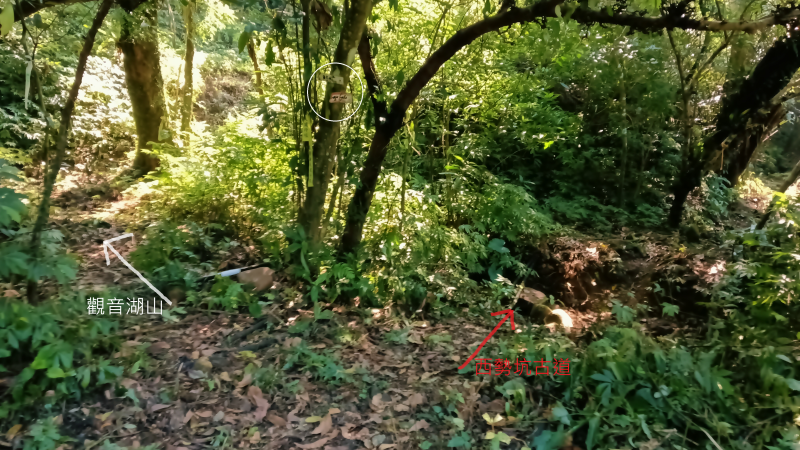 305aeb0815bfd8e5cb10f97aa4675ba3.png