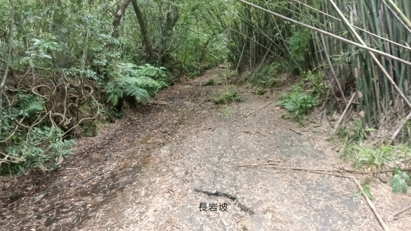 3063fe113a960cb92a55324ee284ae8f.png