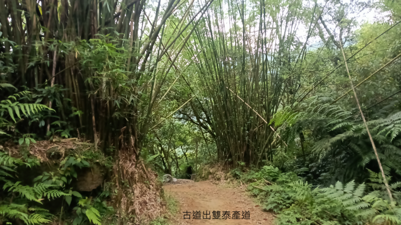 308f99ea93b37fd145598ad76e7a5722.png