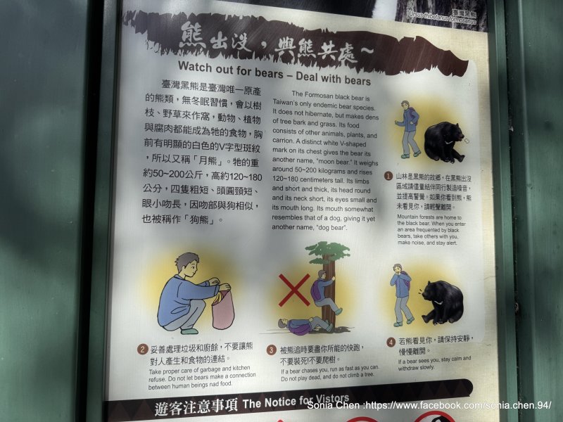 30ac0a9c6315662d921db8d878400b73.jpg