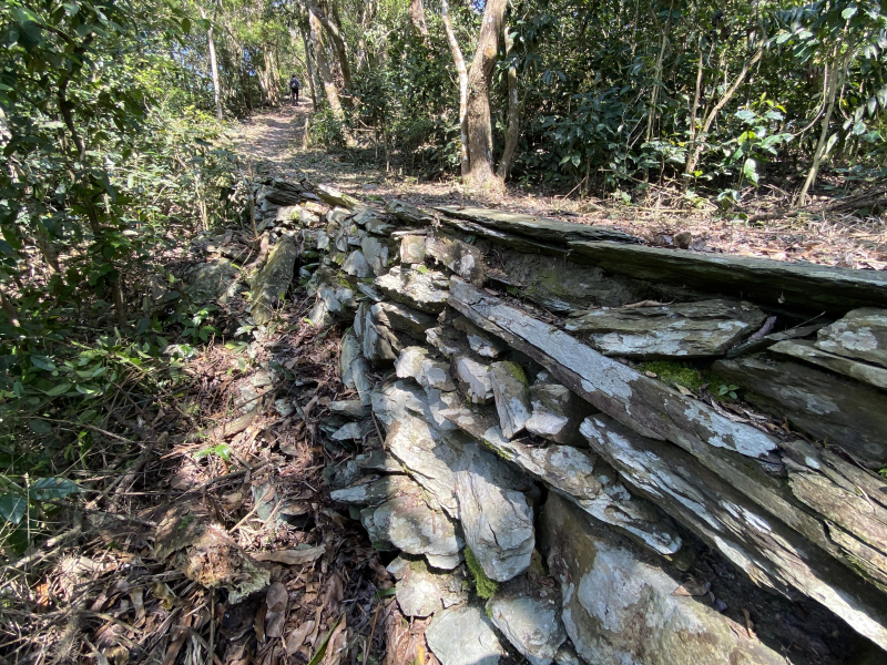 【高雄】六龜警備線～南段草津至庄野