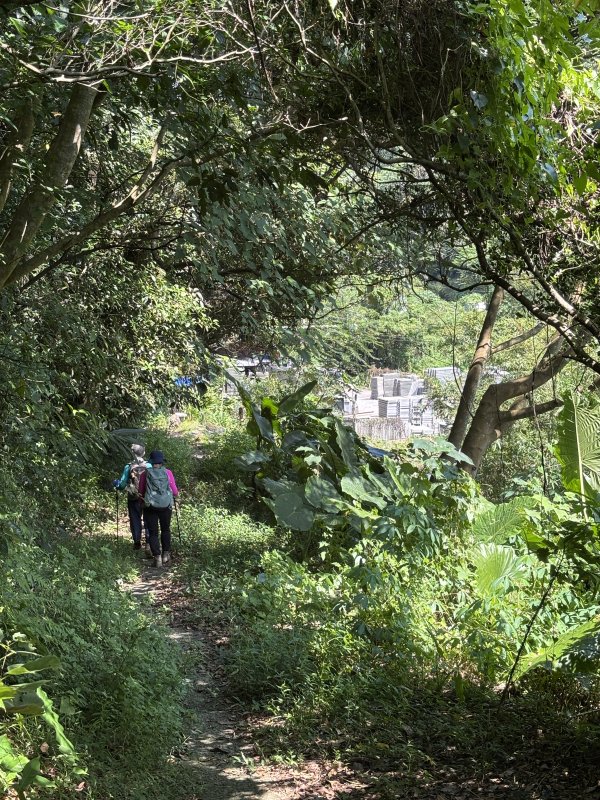 31135f076dfac7cedf00a856412ce4f9.jpg