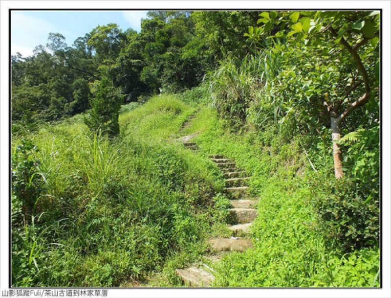 林家草厝 (8).jpg - 林家草厝