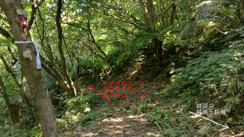 315d0ffe0070e731660a231b7033aabc.png