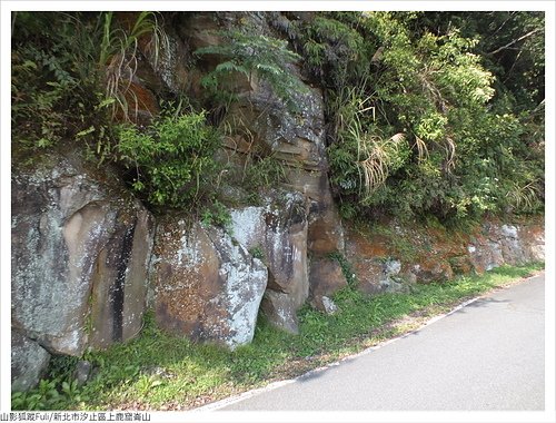 上鹿窟崙山 (19).JPG - 上鹿窟崙山