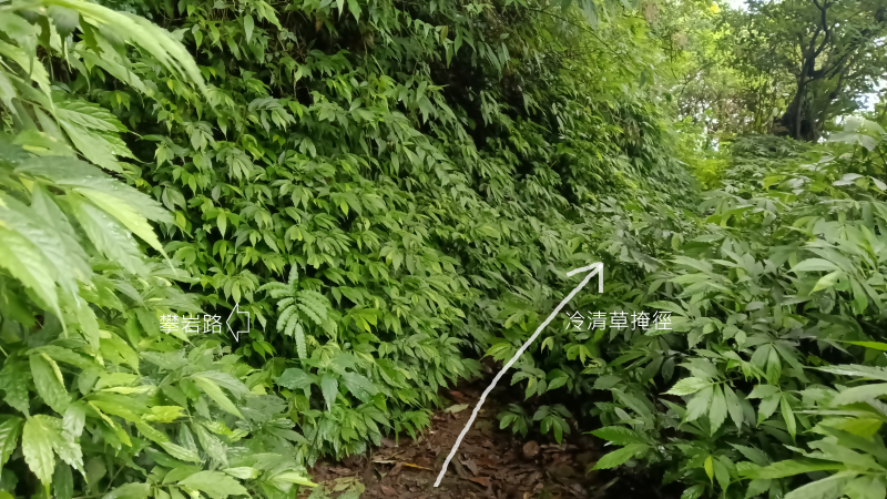 3250af08066f9dd4df1d29f2124be781.png